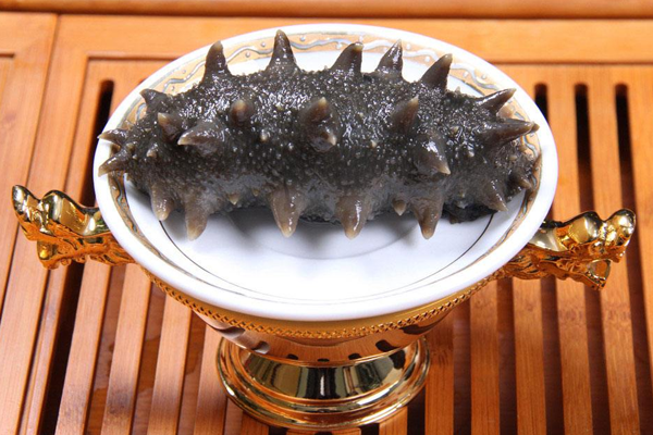海参加盟费