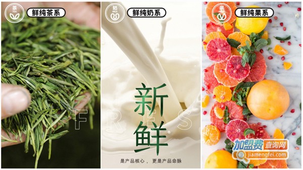 天然呆奶茶加盟费