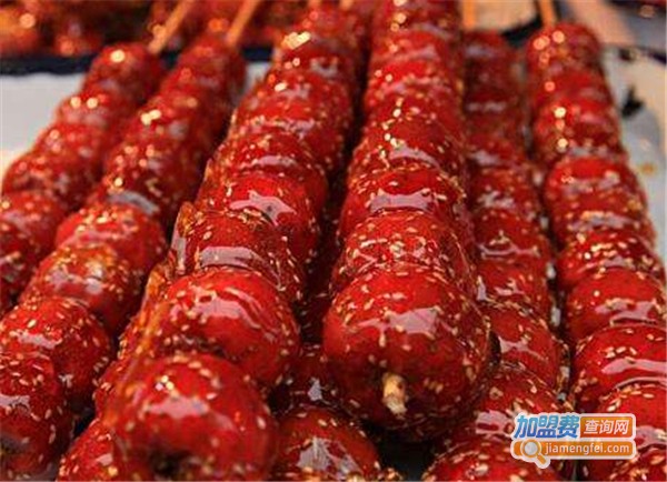 小串冰糖葫芦加盟费