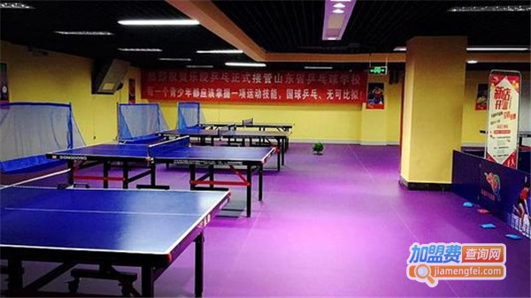 乐旋乒乓球馆加盟费
