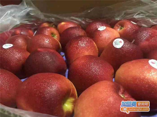 哈喽精品鲜果仓储加盟费