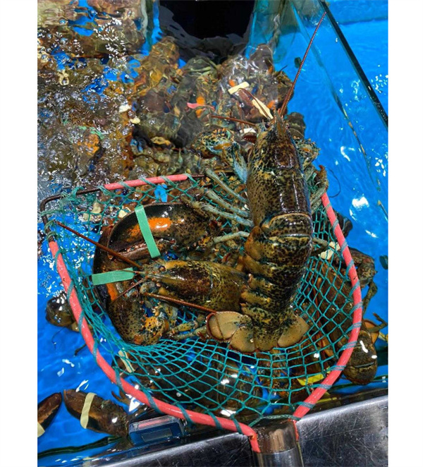 蟹食客海鲜加盟费