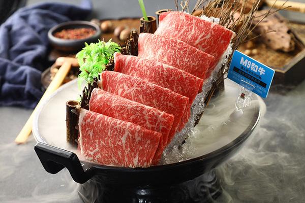 上海开火锅店需要多少钱?