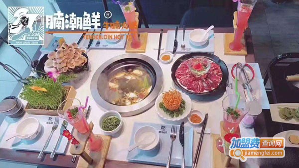 腩潮鲜火锅加盟费