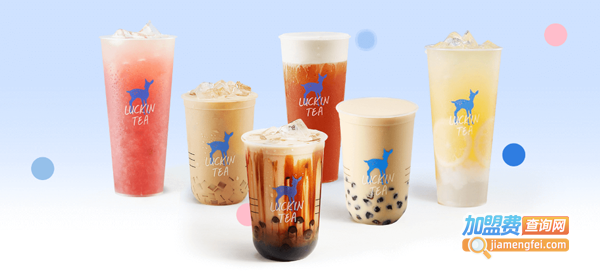 小鹿茶加盟费