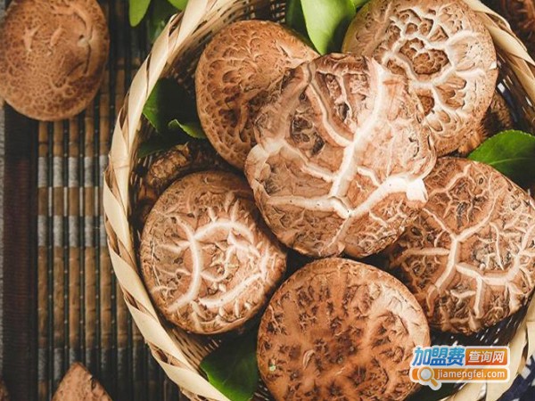 虎丫炒鸡加盟费