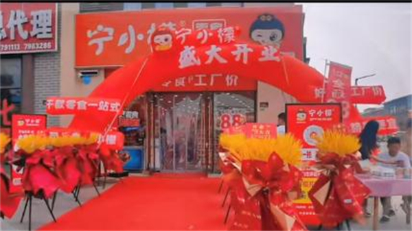 宁小檬零食工厂加盟费