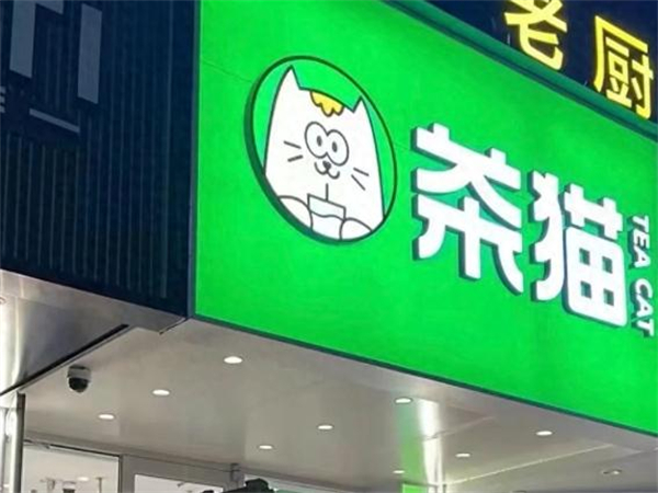 茶猫加盟费