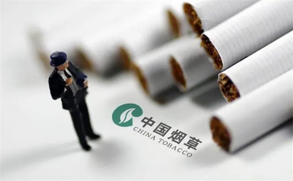 烟草证加盟费
