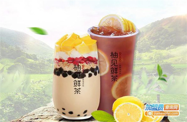 柚见鲜茶加盟费