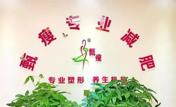 甄瘦专业减肥加盟加盟费用