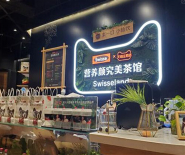 swisse加盟加盟费用