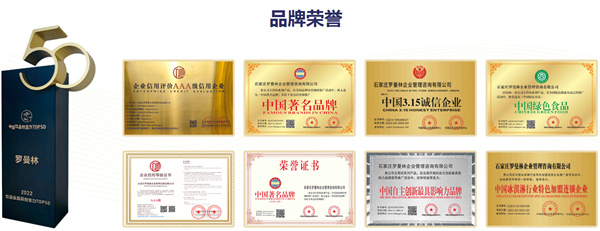 罗曼林加盟加盟费用