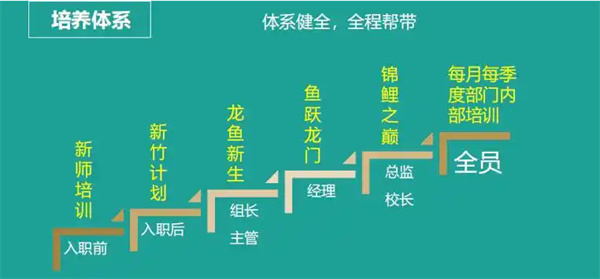 平行线教育加盟加盟费用