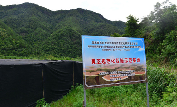 仙芝楼加盟加盟费用