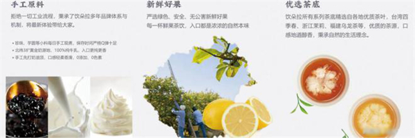 饮朵拉大杯茶加盟加盟费用