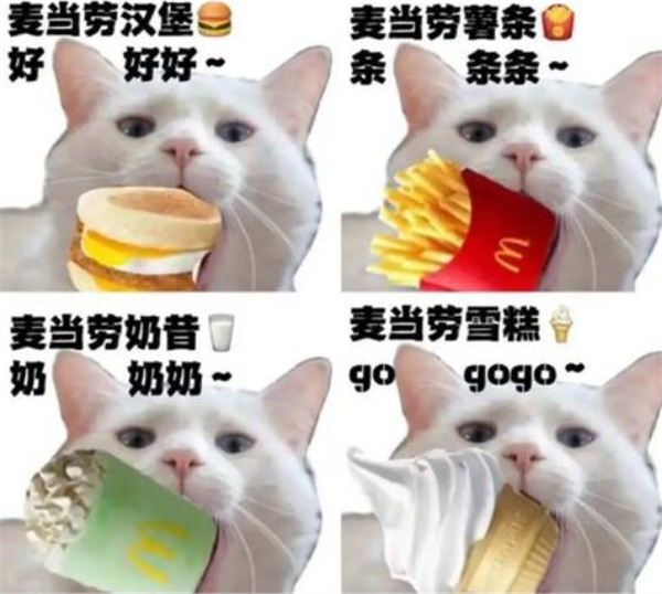 肯卫汀加盟加盟费用