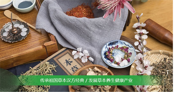 神草传奇加盟费用