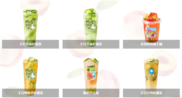 梦幻雪加盟费用