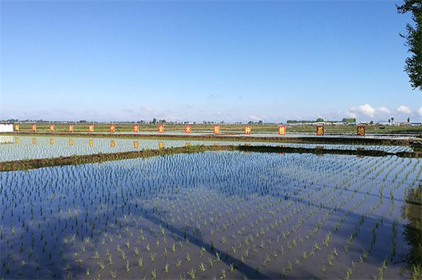 谷田稻香瓦锅饭加盟加盟费用