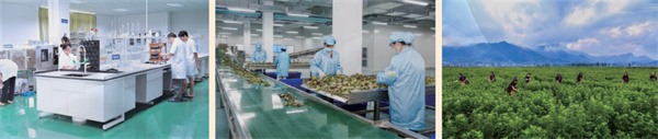 柏崖馆加盟加盟费用