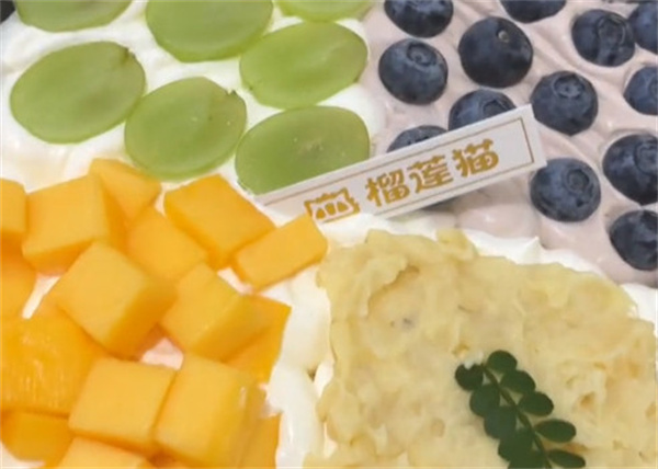 榴莲猫蛋糕加盟费用