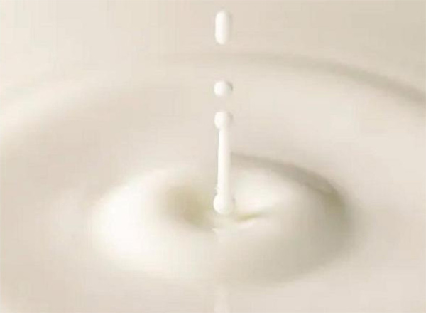 茶本甜加盟加盟费用