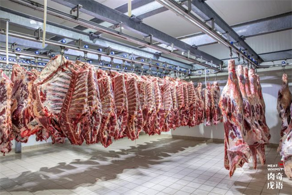 肉奇戊语加盟加盟费用