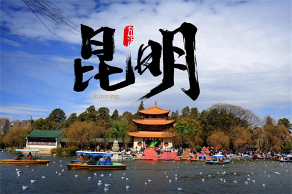 四海云游旅游卡加盟加盟费用