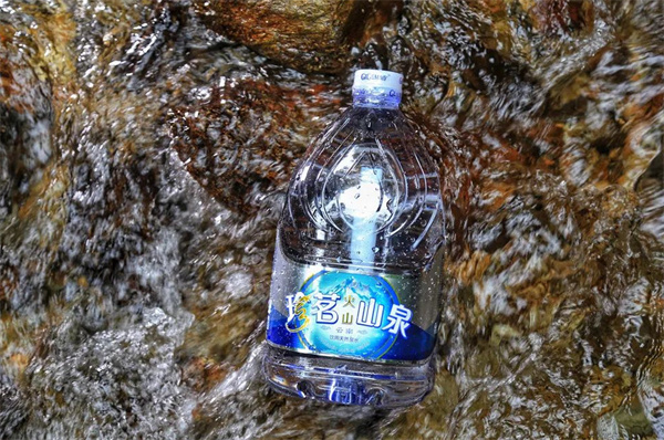 珍茗水加盟加盟费用