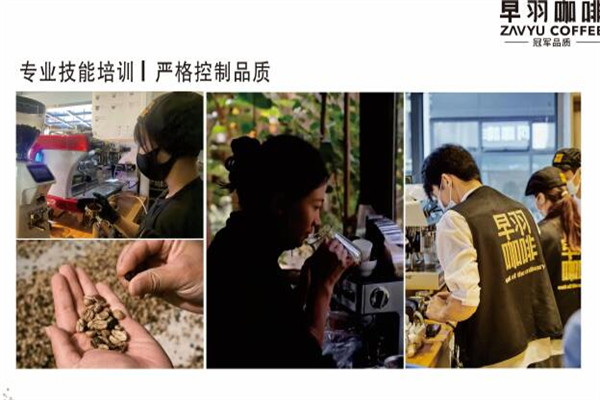 早羽咖啡加盟加盟费用