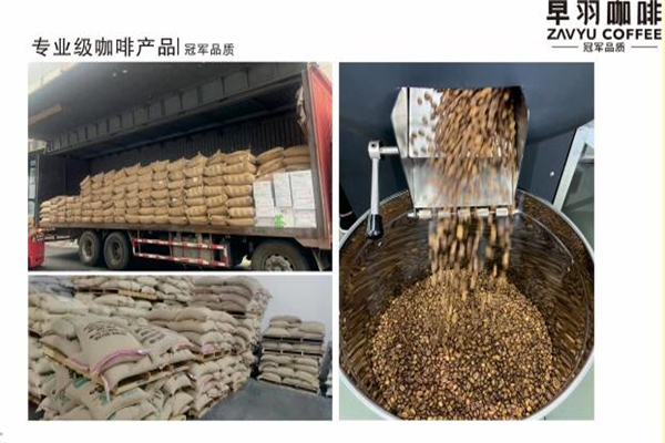 早羽咖啡加盟加盟费用