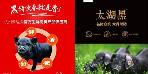 膳博士黑猪肉包加盟加盟费用