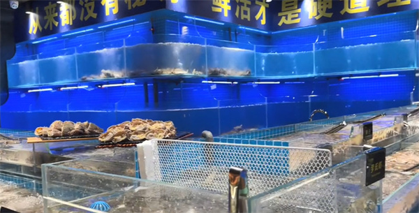 九月海海鲜自助加盟加盟费用