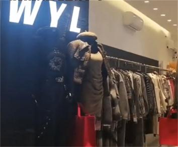 wyl女装加盟加盟费用