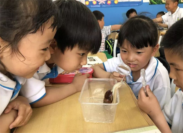 疯狂博士玩转科学加盟费用