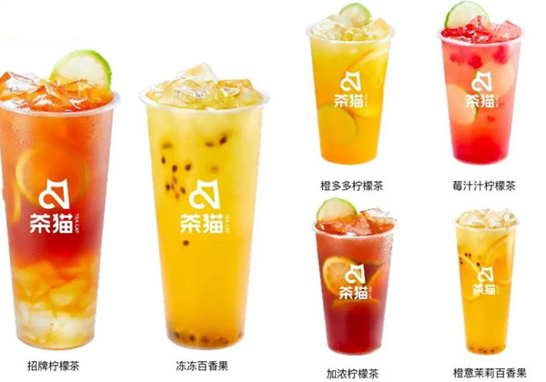 茶猫加盟加盟费用