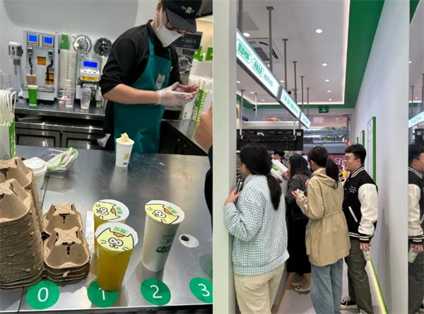 茶猫加盟加盟费用