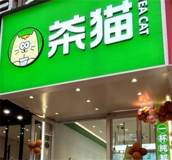 茶猫加盟加盟费用
