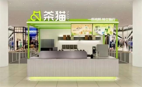 茶猫加盟加盟费用