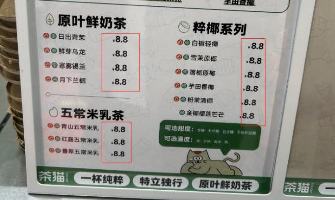 茶猫加盟加盟费用