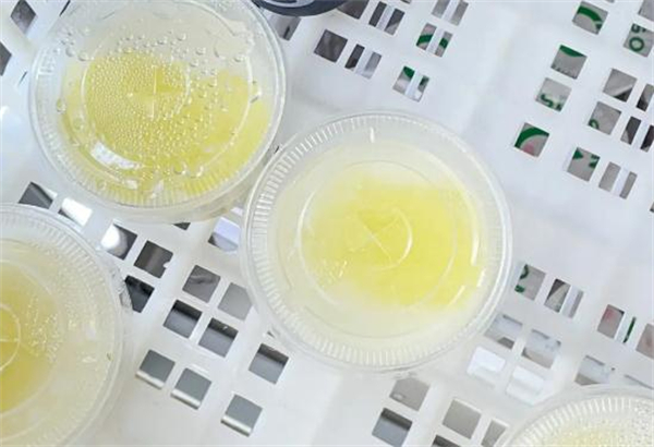 自助糖水店加盟加盟费用