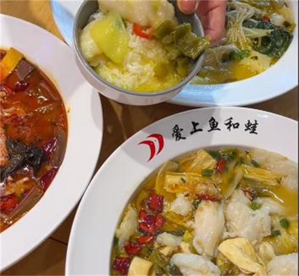爱上鱼和蛙加盟加盟费用