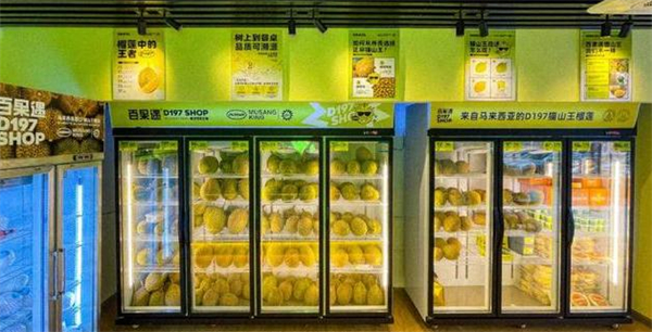 百果遇猫山王榴莲体验店加盟加盟费用