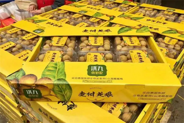 洪九果品加盟加盟费用