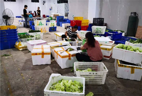 生鲜蔬菜配送加盟加盟费用