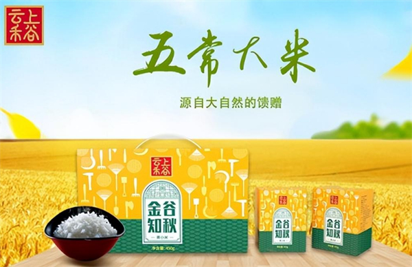 云上禾谷粮油加盟加盟费用