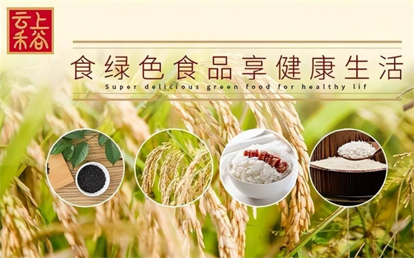 云上禾谷粮油加盟加盟费用