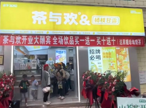 茶与欢加盟加盟费用