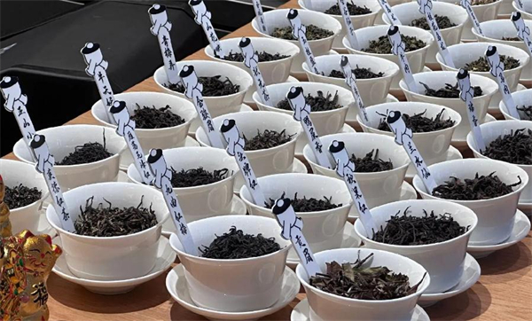 哈茶福加盟加盟费用